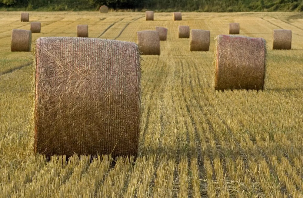 Tama Ecobull Preferred bálaháló - Több méretben - Image 3