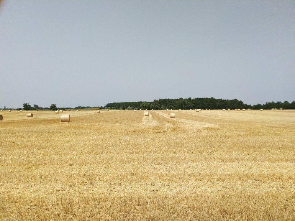 Bálázóháló JUTA (cseh) - Több méretben - Image 4