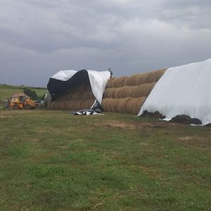 Fekete-fehér Finn silófóliák